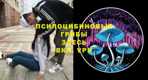винт Фурманов
