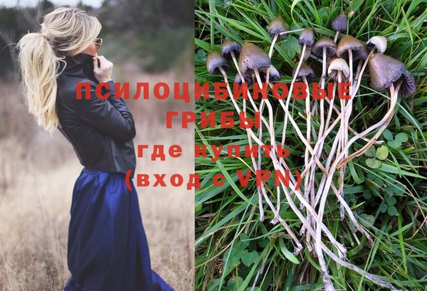 винт Фурманов