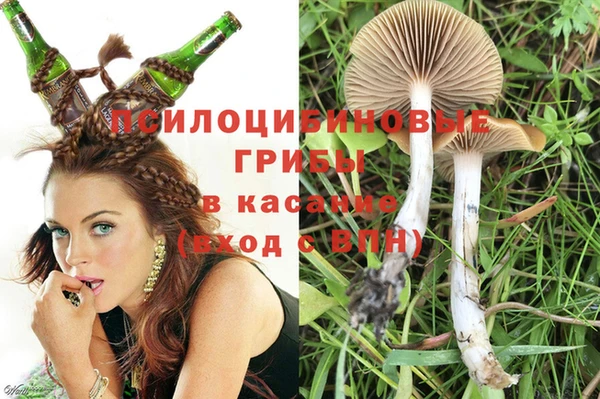 прущие крисы Абаза