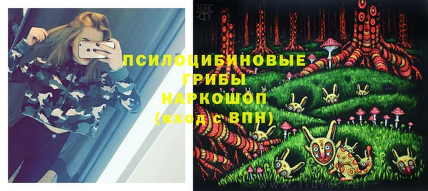 spice Абинск