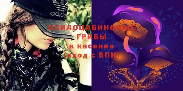 spice Абинск